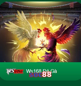 soc88